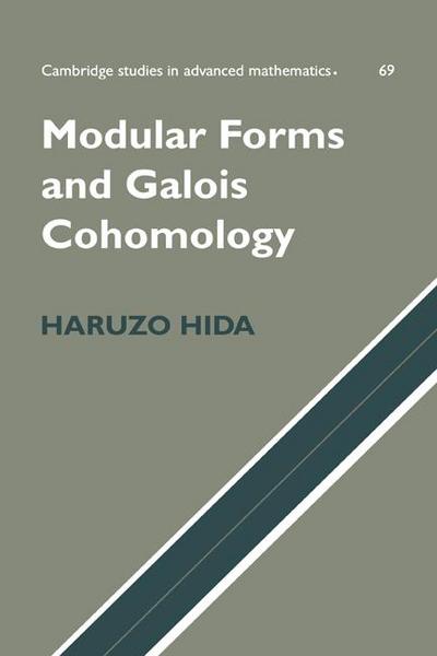 Modular Forms and Galois Cohomology