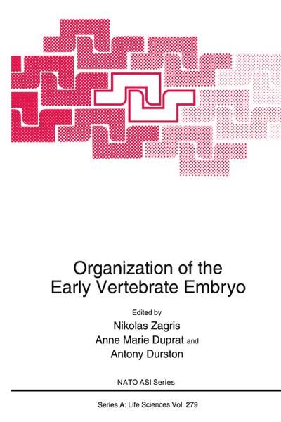 Organization of the Early Vertebrate Embryo