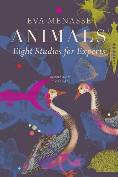Animals - Eight Studies for Experts