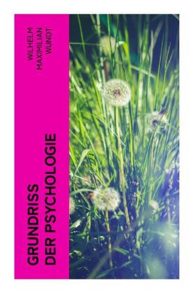 Grundriss der Psychologie