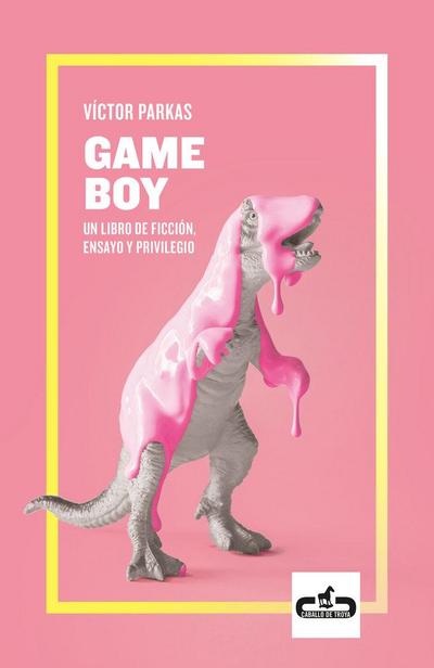 Game Boy : un libro de ficción, ensayo y privilegio