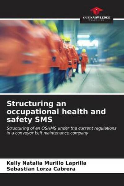 Structuring an occupational health and safety SMS