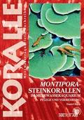 Montipora-Steinkorallen im Meerwasseraquarium