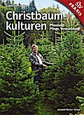 Christbaumkulturen