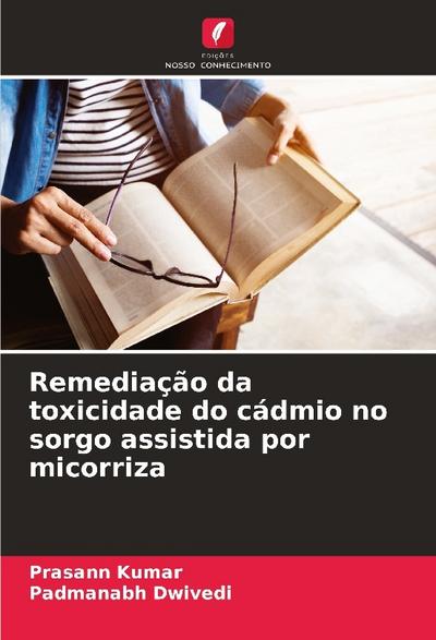 Remediação da toxicidade do cádmio no sorgo assistida por micorriza