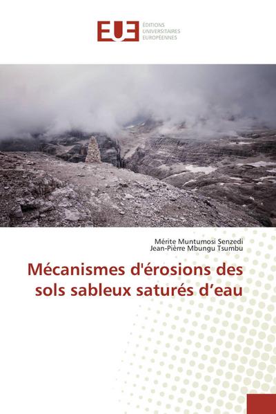 Mécanismes d’érosions des sols sableux saturés d’eau