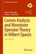Convex Analysis and Monotone Operator Theory in Hi
