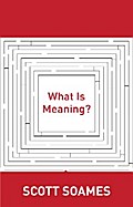 What Is Meaning?
