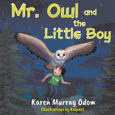 Mr. Owl and the Little Boy