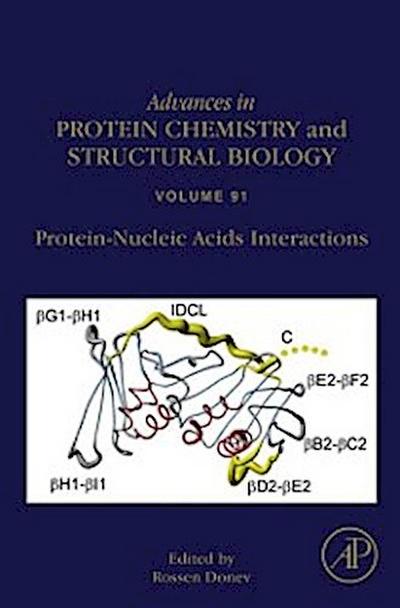 Protein-Nucleic Acids Interactions