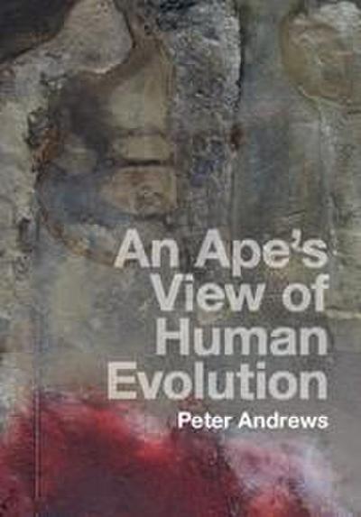 An Ape’s View of Human Evolution