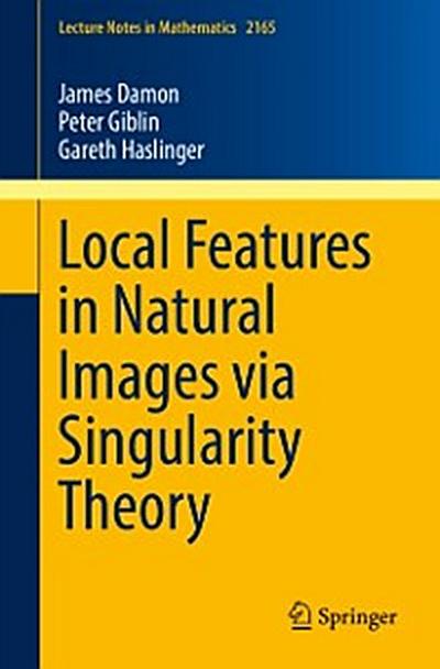 Local Features in Natural Images via Singularity Theory