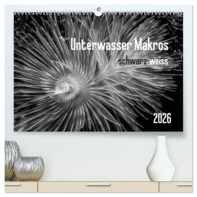 Unterwasser Makros - schwarz weiss 2026 (hochwertiger Premium Wandkalender 2026 DIN A2 quer), Kunstdruck in Hochglanz