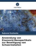 Anwendung von Eisenoxid-Nanopartikeln zur Beseitigung von Schwermetallen