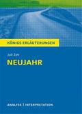 Neujahr von Juli Zeh.