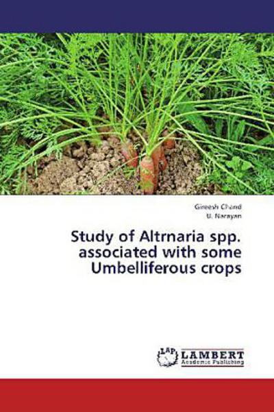 Study of Altrnaria spp. associated with some Umbelliferous crops
