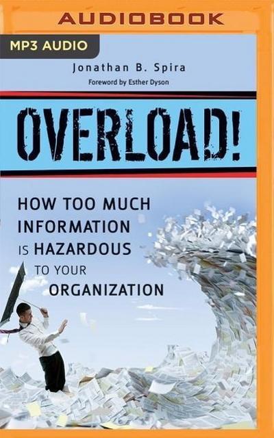 Overload!: How Too Much Information Is Hazardous to Your Organization