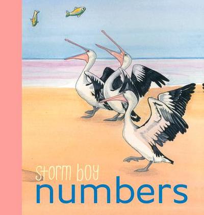 Storm Boy-Numbers-Board Book