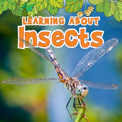 Learning About Insects