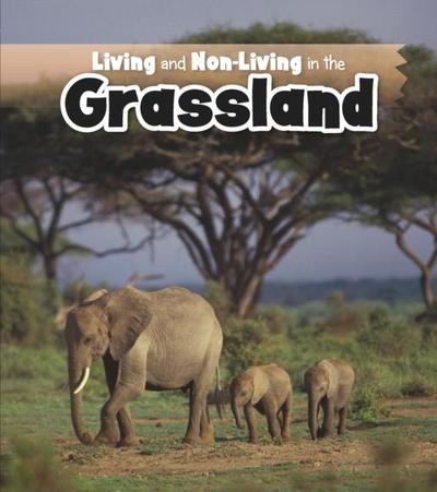 Living and Non-living in the Grasslands