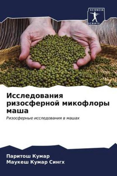 Issledowaniq rizosfernoj mikoflory masha