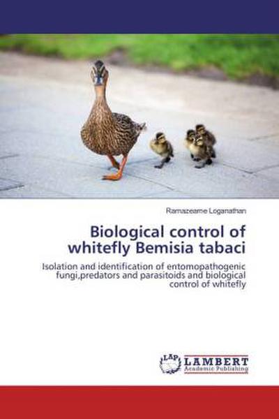 Biological control of whitefly Bemisia tabaci