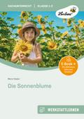 Die Sonnenblume