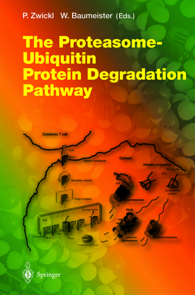 The Proteasome - Ubiquitin Protein Degradation Pathway