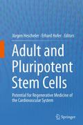 Adult and Pluripotent Stem Cells