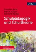 Schulpädagogik und Schultheorie