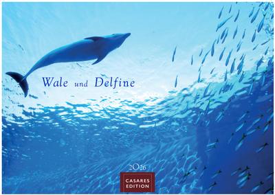 Wale und Delfine Kalender 2026 - Wandkalender | Fotokalender Tierkalender 35x50cm Grosses Format - Hochwertige Fotografien von Walen und Delfinen, die jeden Monat begeistern.