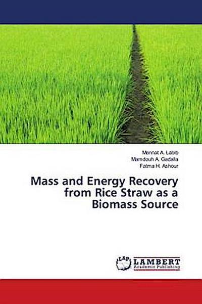 Mass and Energy Recovery from Rice Straw as a Biomass Source
