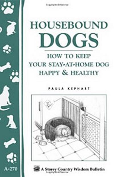 Housebound Dogs: How to Keep Your Stay-at-Home Dog Happy & Healthy