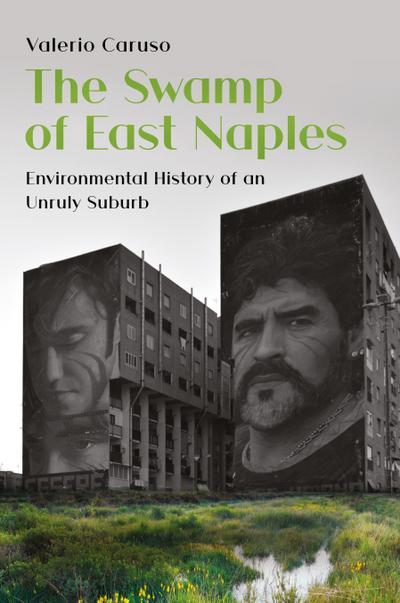 The Swamp of East Naples