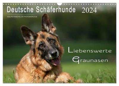 Deutsche Schäferhunde - Liebenswerte Graunasen (Wandkalender 2024 DIN A3 quer), CALVENDO Monatskalender