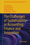 The Challenges of Sustainability in Accounting, Fi