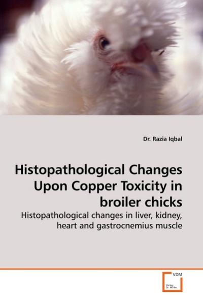 Histopathological Changes Upon Copper Toxicity in broiler chicks