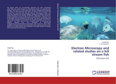 Electron Microscopy and related studies on a hill stream fish