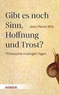 Gibt es noch Sinn, Hoffnung und Trost?