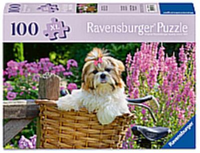 Süßer kleiner Hund