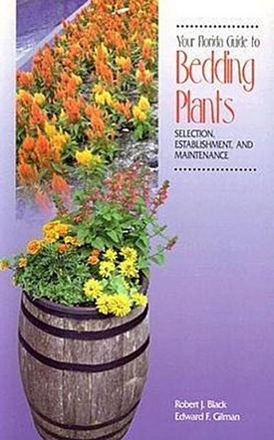 Your Florida Guide to Bedding Plants: Selection, Establishment, and Maintenance