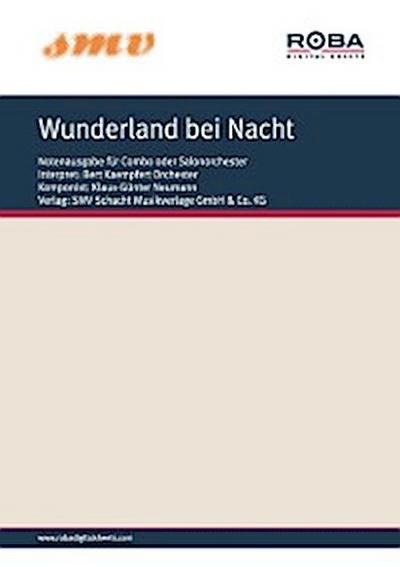 Wunderland bei Nacht
