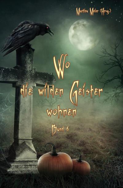 Wo die wilden Geister wohnen Band 6: Schaurig-schöne Geschichten für Kinder: Märchen, Gedichte und Kurzgeschichten rund um Halloween, Geister und Gruselgestalten für Kinder ab 7