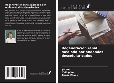 Regeneración renal mediada por andamios descelularizados
