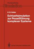 Echtzeitsimulation zur Prozeßführung komplexer Sys