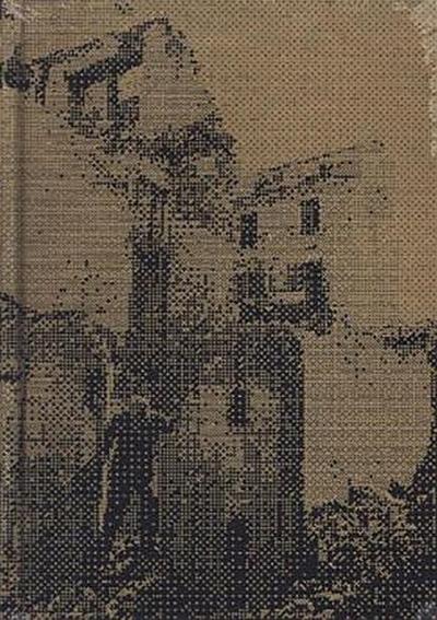 Alfredo Jaar Venezia Venezia