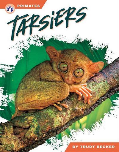 Tarsiers