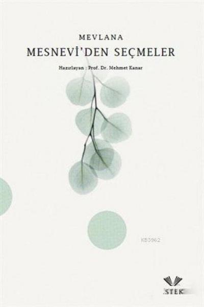 Mesneviden Secmeler
