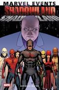 Marvel Events: Shadowland