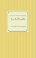 Trost der Philosophie